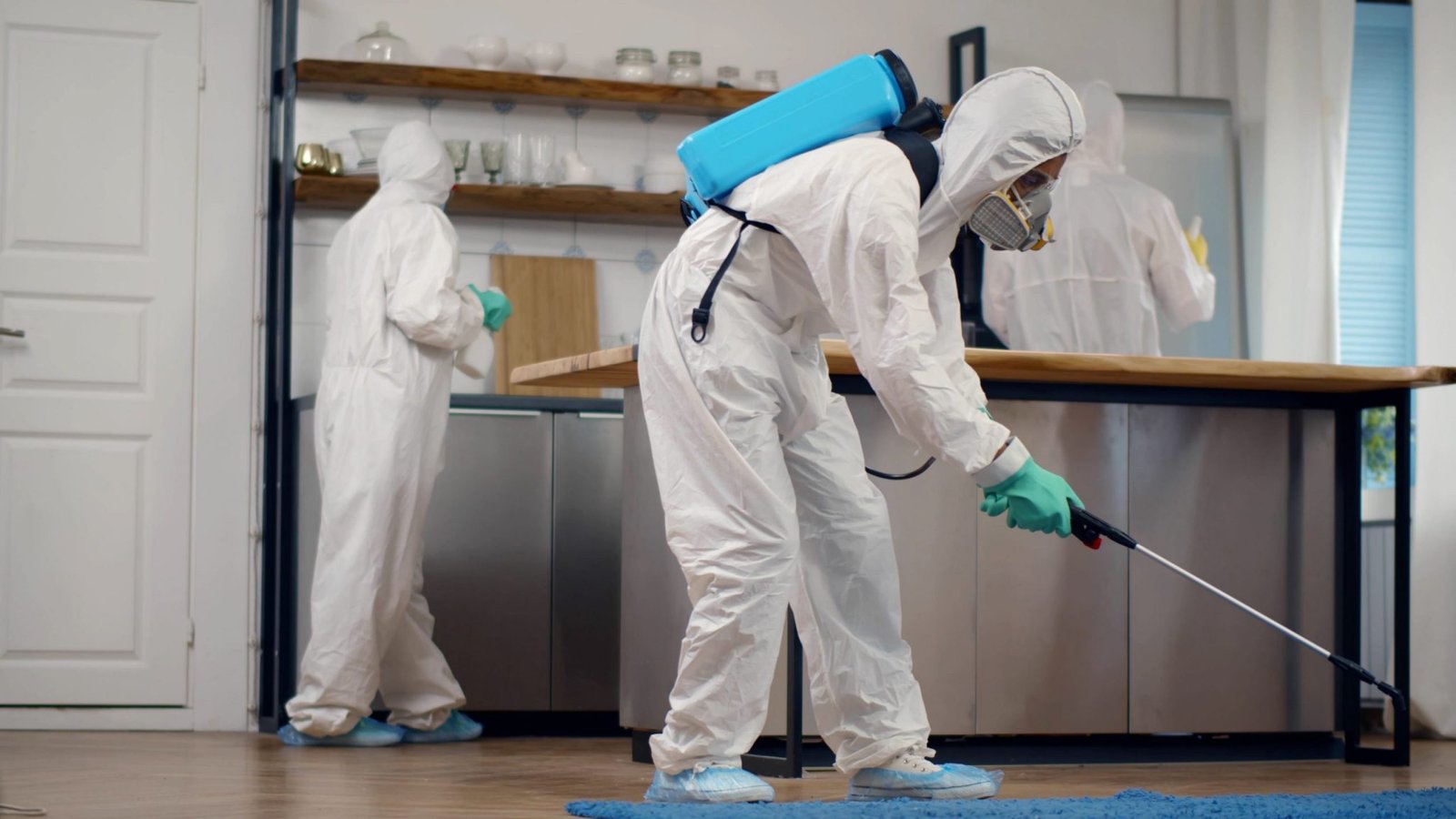 Residential Pest Control Los Angeles CA