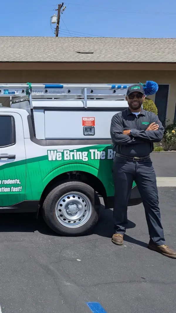 Anaheim Pest Control - long beach pest control