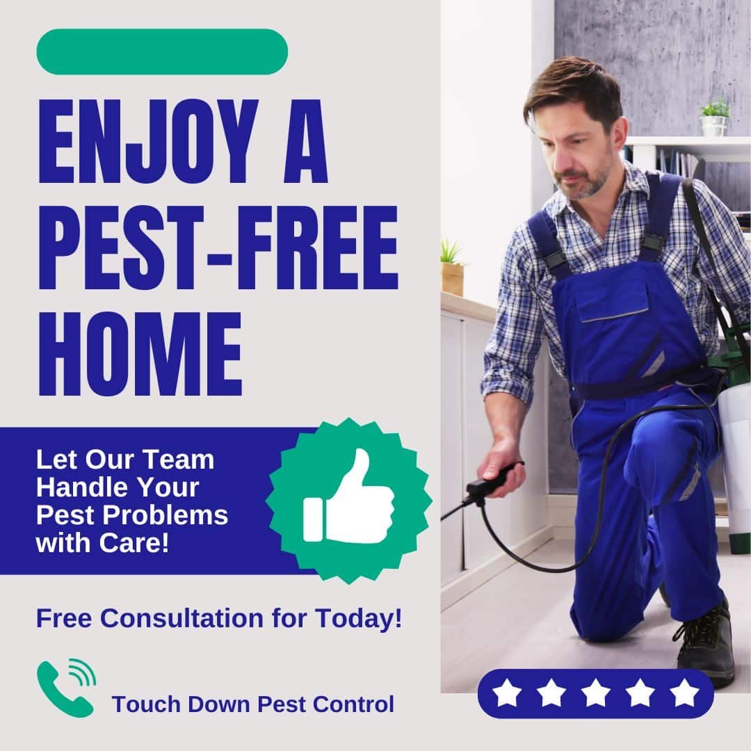 Eco-friendly pest control service advertisement featuring a technician in blue overalls applying treatment indoors, promoting a pest-free home with a thumbs-up icon and contact information for Touchdown Pest Control.
