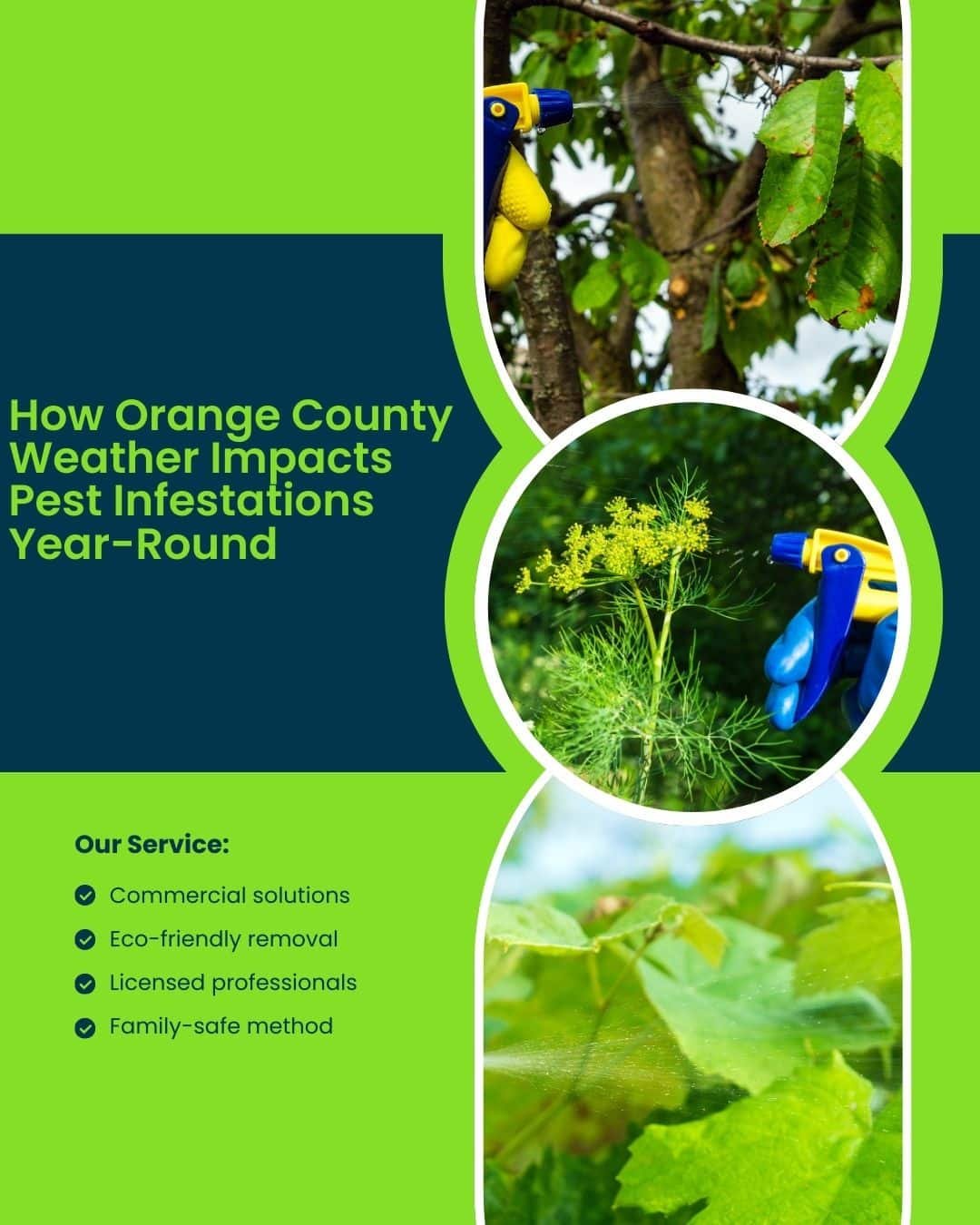 Green and blue graphic featuring pest control services, with images of a spray bottle targeting plants, text "How Orange County Weather Impacts Pest Infestations Year-Round," and service details including eco-friendly removal and licensed professionals.