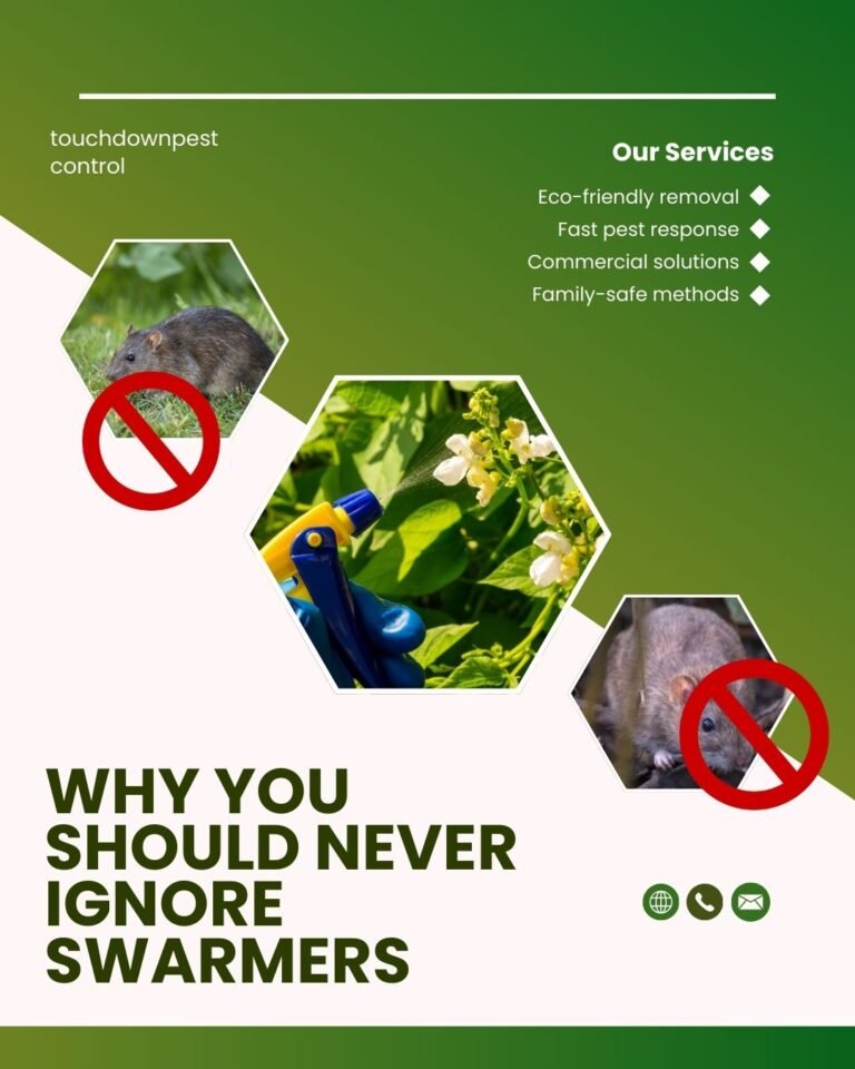 termite swarm season in Pasadena