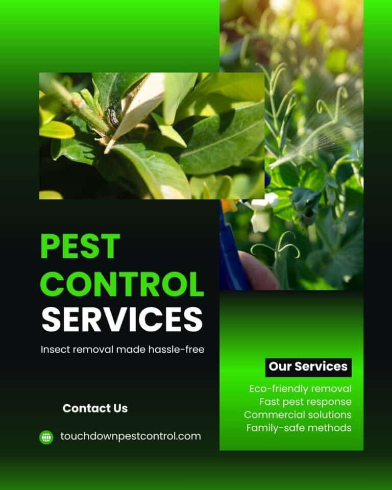 Pest control services advertisement featuring vibrant green and black design, showcasing insect removal with emphasis on eco-friendly methods, fast response, and family-safe solutions.