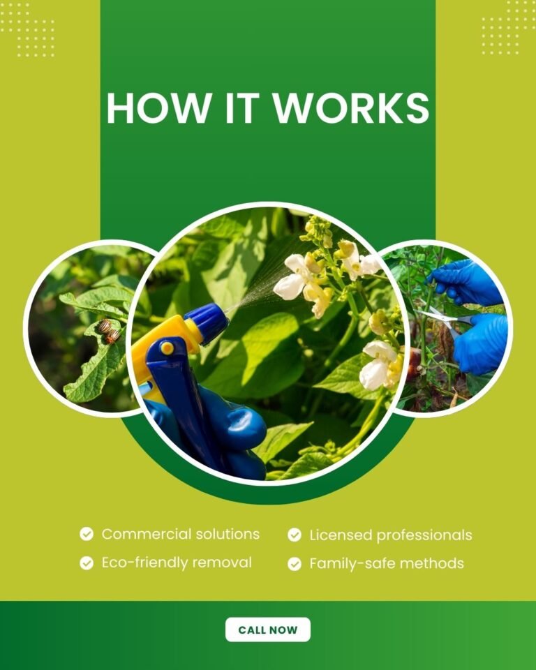 How Pest Control Works