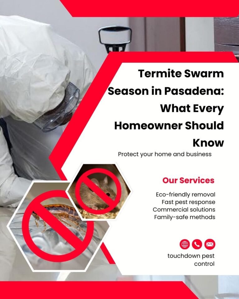 termite swarm season in Pasadena